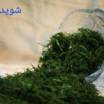 سبزی شوید پلو