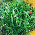 سبزی خوردن