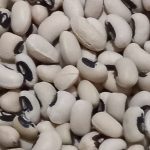 لوبیا چشم بلبلی
